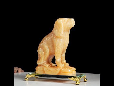 Chó Ngọc Hoàng Long Cho Ngoc Hoang Long