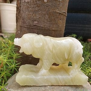 Heo Ngọc Pakistan Heo Ngoc Pakistan