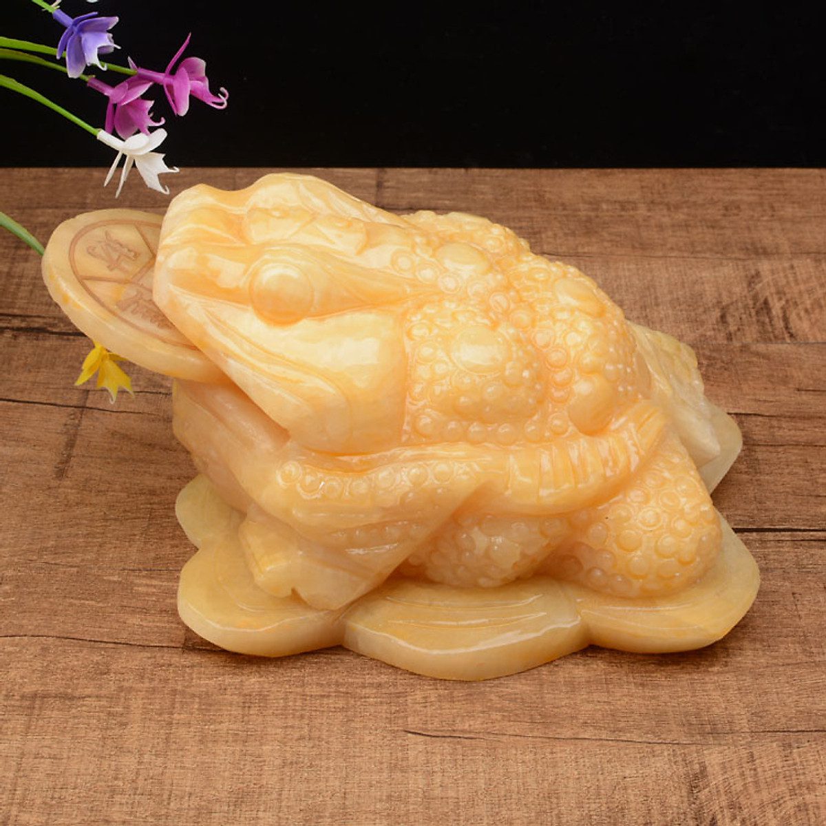 thiềm thừ ngọc hoàng long