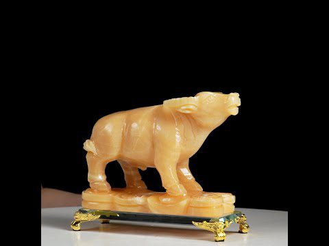 tuong trau ngoc hoang long