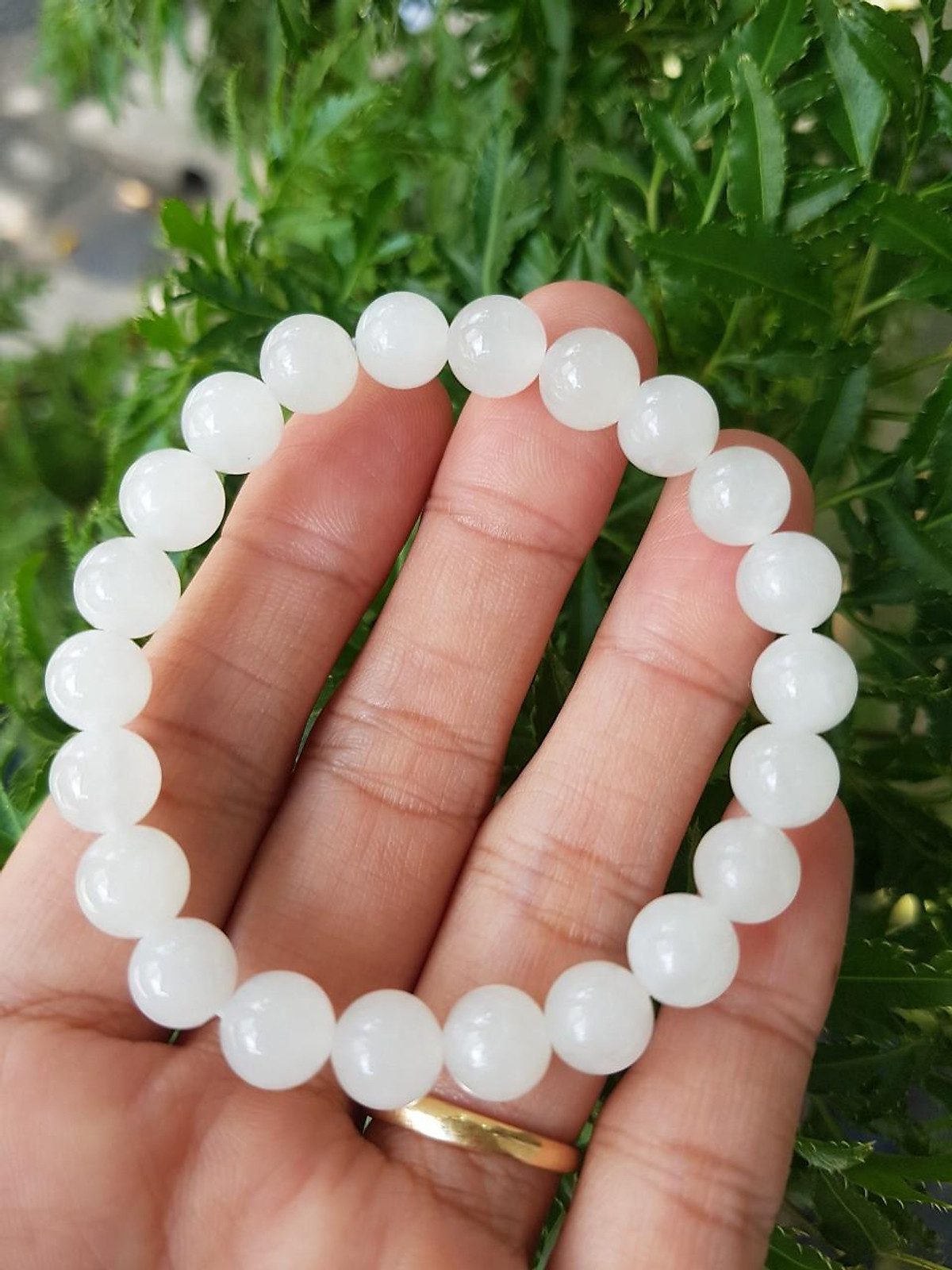 vòng bạch ngọc vòng bạch ngọc