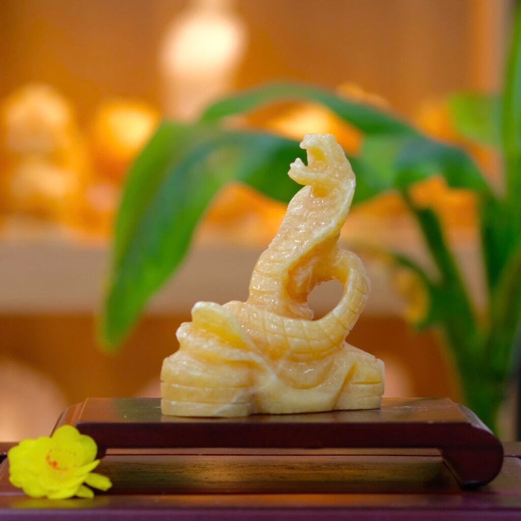 Tử Vi 12 Con Giáp Tuần 20–26/10: Tuổi Nào Bứt Phá, Tuổi Nào Nên Cẩn Trọng? 6 tử vi