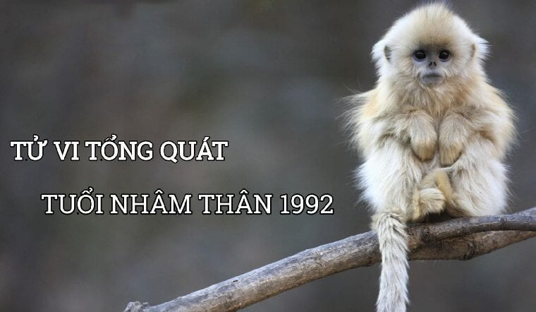 Tổng Quan Tử Vi Tuổi Thân 1992 Năm 2026 1 tuoi than 1992